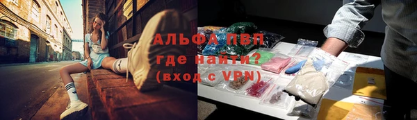 шишки Гусь-Хрустальный