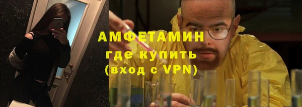 шишки Гусь-Хрустальный