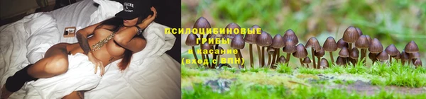 мет Дмитровск