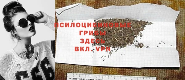 кокс Дмитриев