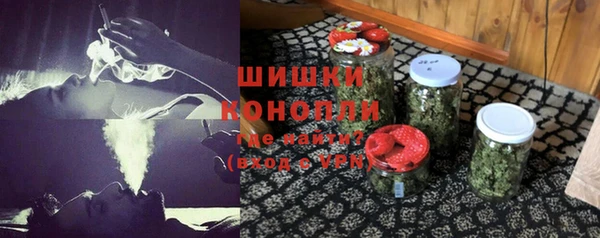 спиды Гусев