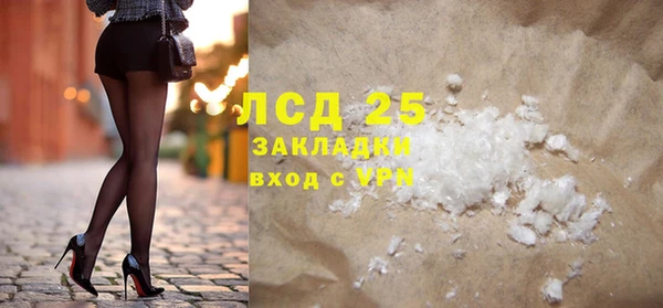спиды Гусев